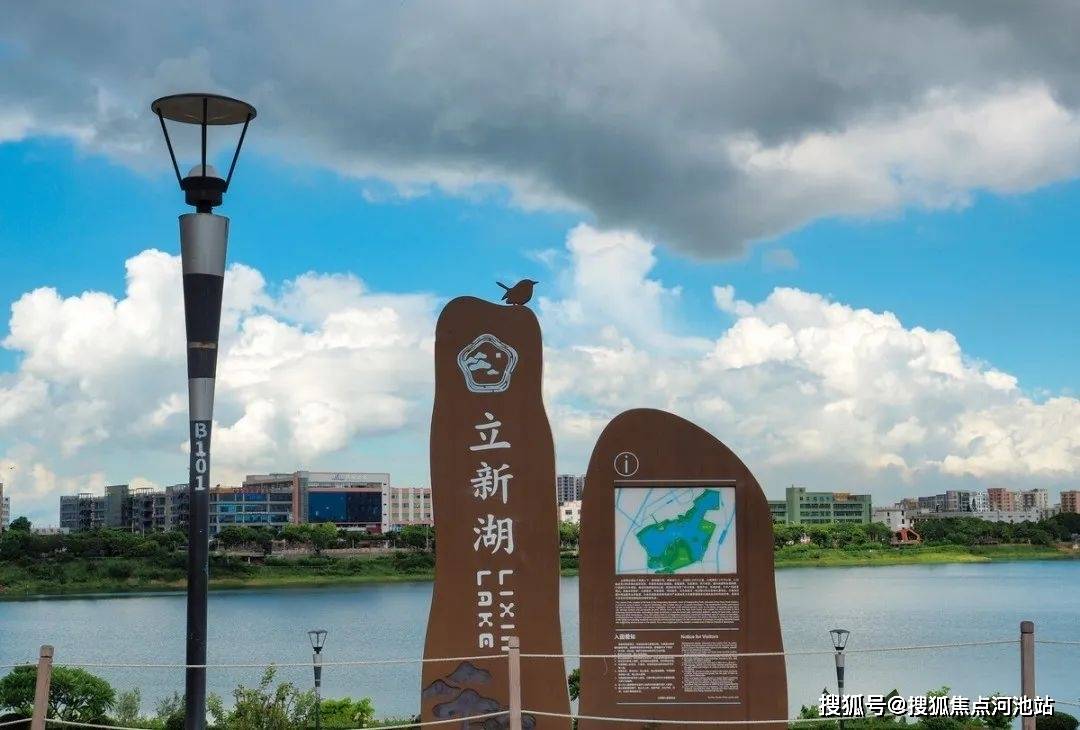 文章配图-12